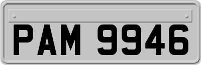 PAM9946