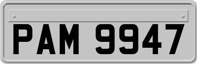 PAM9947