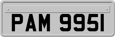 PAM9951