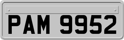 PAM9952