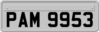 PAM9953