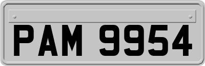 PAM9954