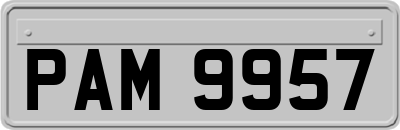 PAM9957