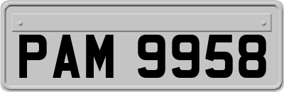 PAM9958