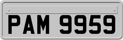 PAM9959