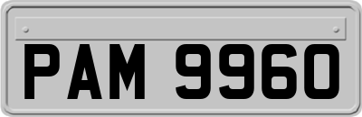 PAM9960