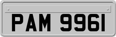 PAM9961