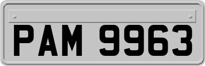 PAM9963