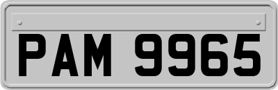 PAM9965