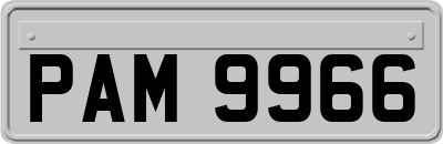 PAM9966