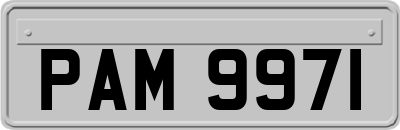 PAM9971