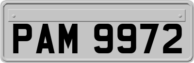 PAM9972
