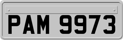 PAM9973