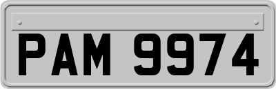 PAM9974
