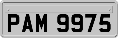 PAM9975