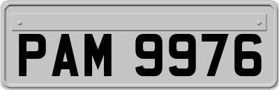 PAM9976