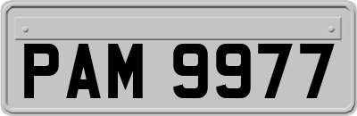 PAM9977