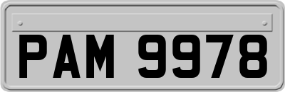 PAM9978