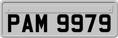 PAM9979