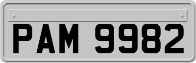 PAM9982