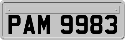 PAM9983