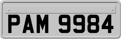 PAM9984