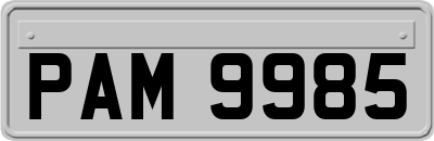 PAM9985