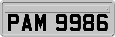 PAM9986