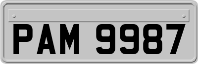 PAM9987