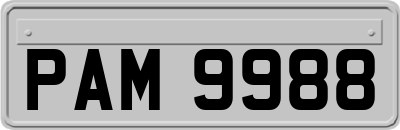 PAM9988