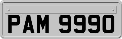 PAM9990