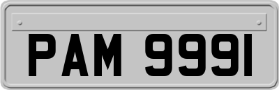 PAM9991