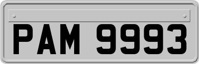 PAM9993