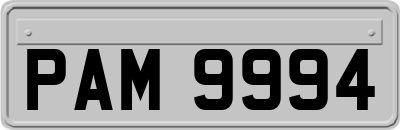 PAM9994