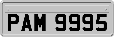 PAM9995