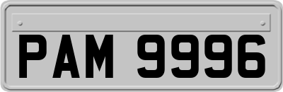 PAM9996