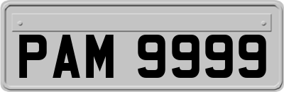 PAM9999