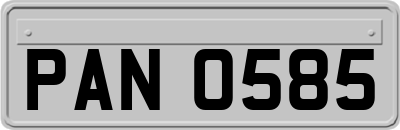 PAN0585