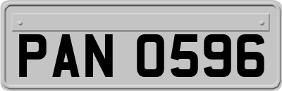 PAN0596