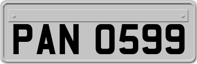 PAN0599