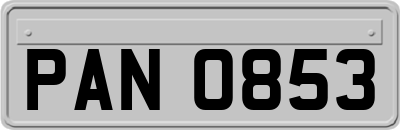 PAN0853