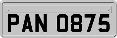 PAN0875