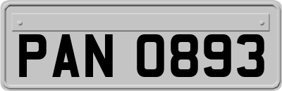 PAN0893