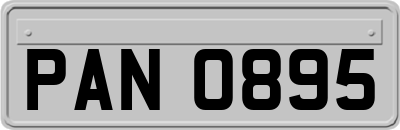 PAN0895
