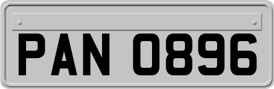 PAN0896