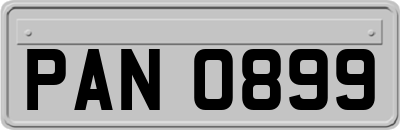 PAN0899