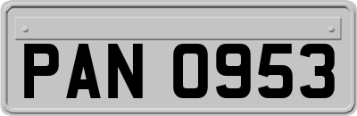 PAN0953