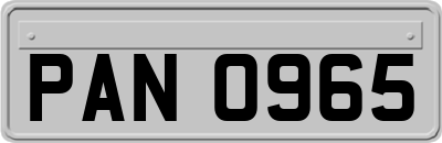 PAN0965