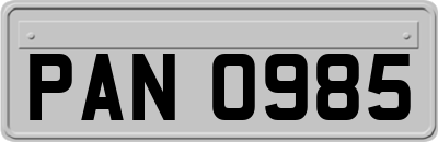 PAN0985