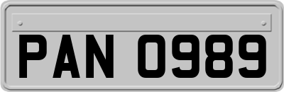PAN0989